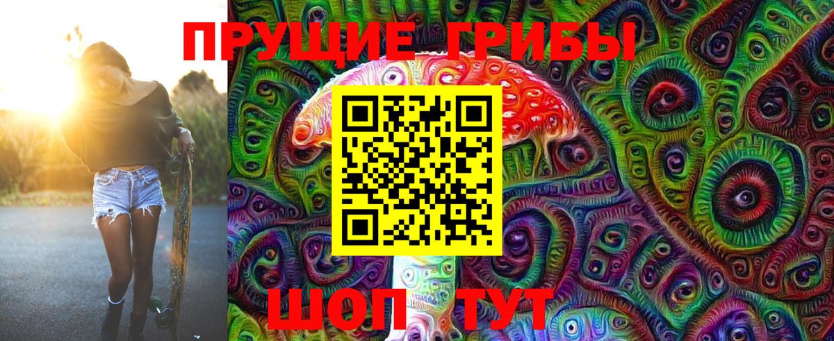 Городец  Псилоцибиновые грибы MAGIC MUSHROOMS  Вход с VPN 