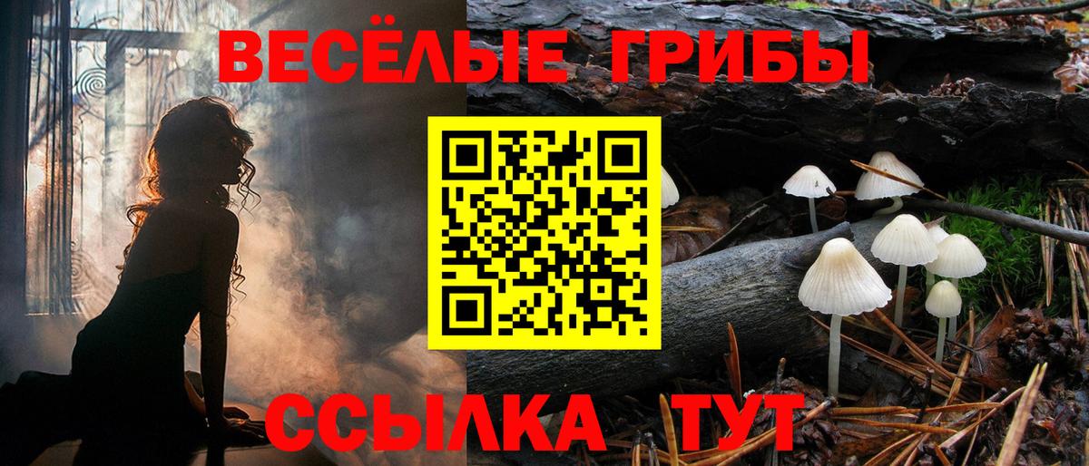 Псилоцибиновые грибы прущие грибы Городец